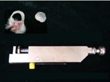 耳肿打耳器